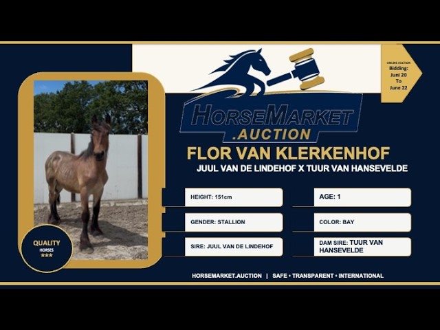 Flor van Klerkenhof