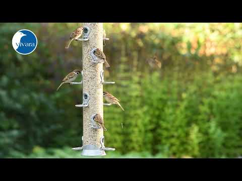 Voedersilo Conqueror 123cm