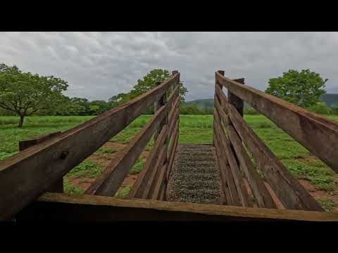 Sítio 25 ha à Venda em Flores de Goiás | Casa, Curral e Córrego | R$ 950 Mil