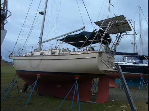 Island Packet 38 Walkthrough