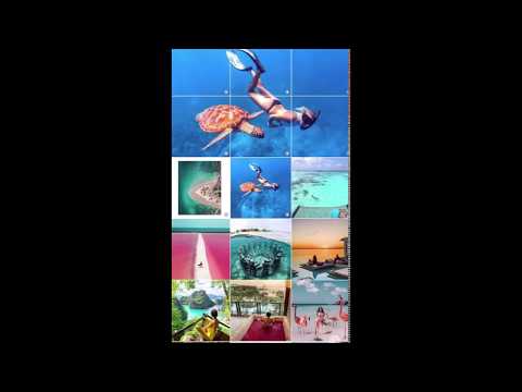 Feed Preview for Insta・Planner Video