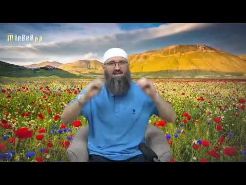 Šta uraditi kada u namazu kihnemo ili zijevamo? - Elvedin Pezić