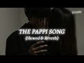 The Pappi Song Slowed Reverb ARYAN