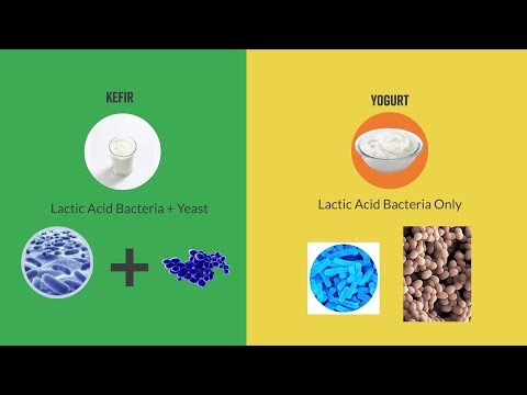 Kefir starter vs. Kefir grains - Pros and Cons