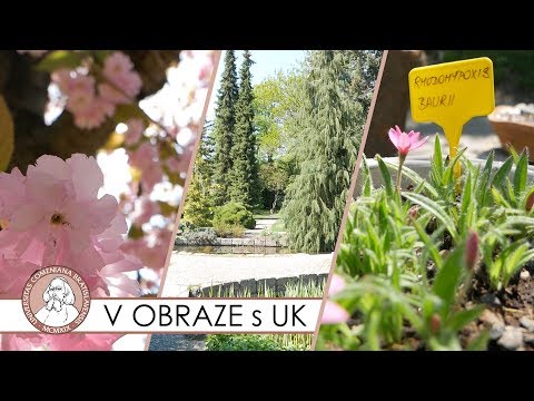 Botanická záhrada UK - Výstava skalničiek - V OBRAZE s Univerzitou Komenského
