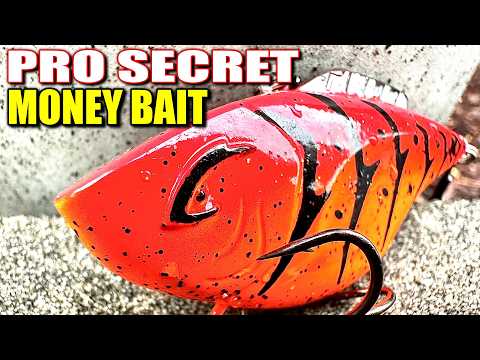 Pro Anglers Are Cashing Checks On This New Lipless - You've Never Heard Of!