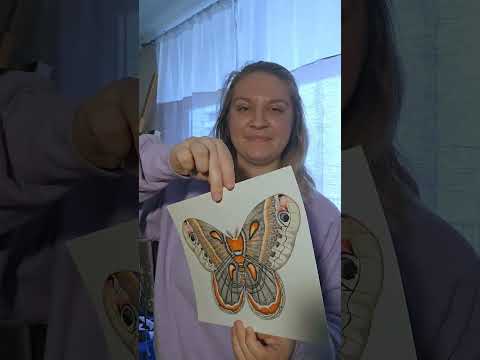 Sharing my artwork pt. 27 #artwork #artist #Moth #watercolourpainting #painting #drawing