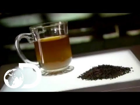 download lagu mp3 mp4 What Is Tea Made Out Of, download lagu What Is Tea Made Out Of gratis, unduh video klip What Is Tea Made Out Of