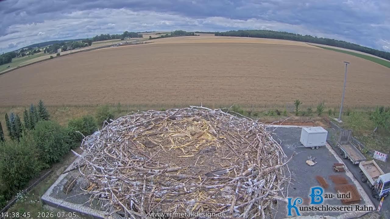Live webcam view of Storchennest Hungen Live Cam