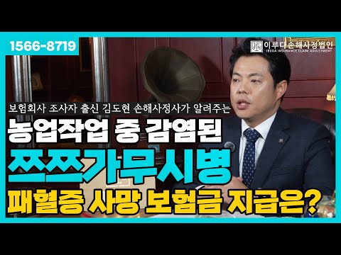 농업작업 중 감염된 쯔쯔가무시병으로 인한 패혈증 사망, 보험금 지급 가능하다면?!｜이루다손해사정법인｜1566-8719