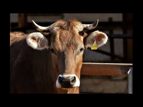 Inflación de febrero 2,9%