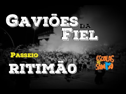 Gaviões 2019 - Passeio pela Bateria RITIMÃO -