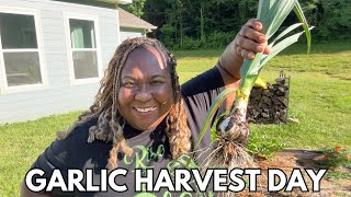 Garlic Harvest Day!