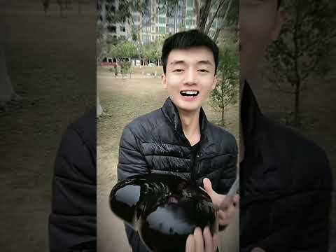 🆘🆘S.O.S ... Big ice Red Heart for you ❤️❤️ #iceboy #tiktok #reels #funny #mukbang #shorts #trending