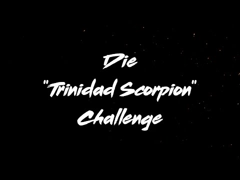 Hoodlyn - Die Trinidad Scorpion Challenge (Trailer)