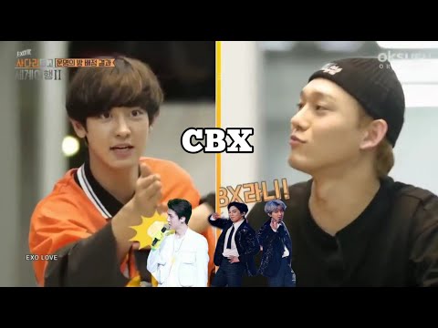 C in CBX , ChanChen Cat fight for C