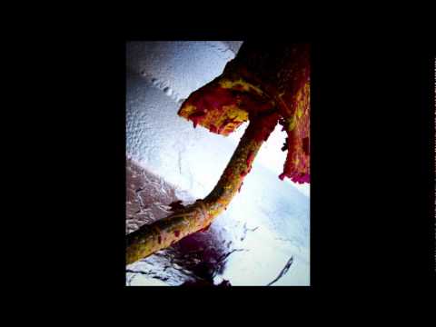 Brigata riot feat Mudimbi - SIAMO FATTI COSI