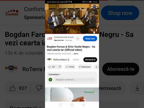 B. farcas & eivis negru sa cearta iar NNN