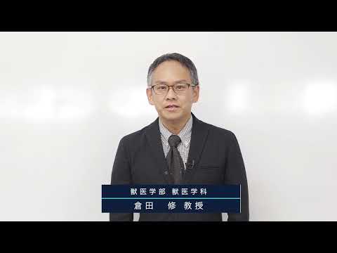 動物科学科 日本獣医生命科学大学　獣医学科説明【WEBオープンキャンパス】