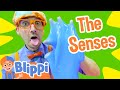 Blippi Learns The 5 Senses Blippi Full Episodes Educational Sensory Videos