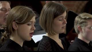 Eric Whitacre • Sleep | Neuer Kammerchor Berlin | 2019