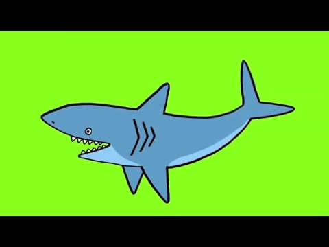 Apprendre à dessiner un requin