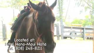 preview picture of video 'Hana Ranch Horse Stable Virtual Maui Guide'