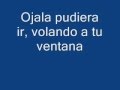 Fondo flamenco, letra de Ojala 