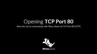 Opening TCP Port 80