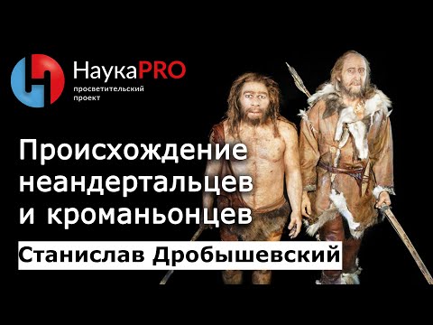 Происхождение неандертальцев и кроманьонцев – антрополог Станислав Дробышевский | Научпоп