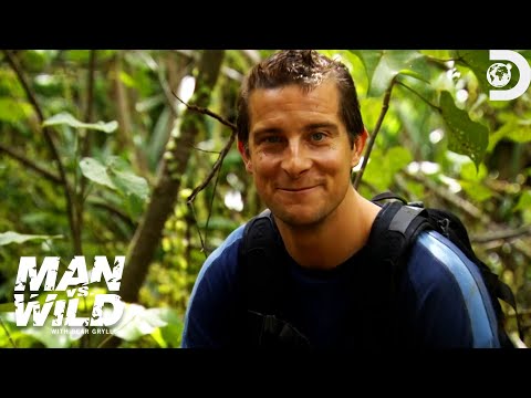 Bear Grylls' Secrets for Surviving in the Temperate Zone | Man Vs. Wild | Discovery