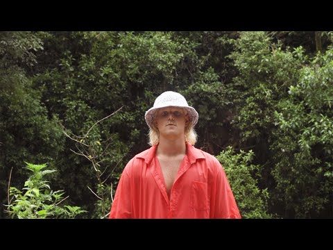 Pasiflorez - All In Vision (Official Music Video)