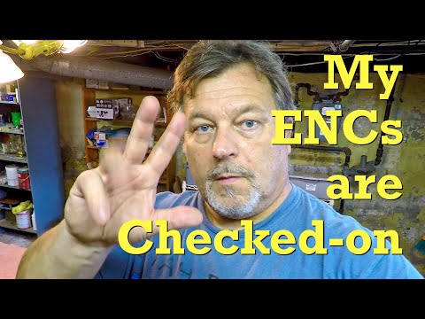 Check-in on 137- & 130-day European nightcrawler worm bins - vermicompost