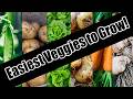 Top 6 Easy To Grow Vegetables For Beginners/SEED TO HARVEST
