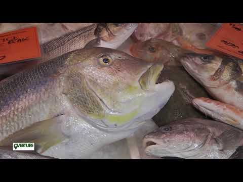 OVERTURE... MERCATO ITTICO LIVORNO