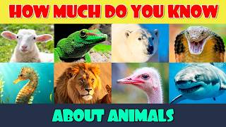 How Much Do You Know About Animals?