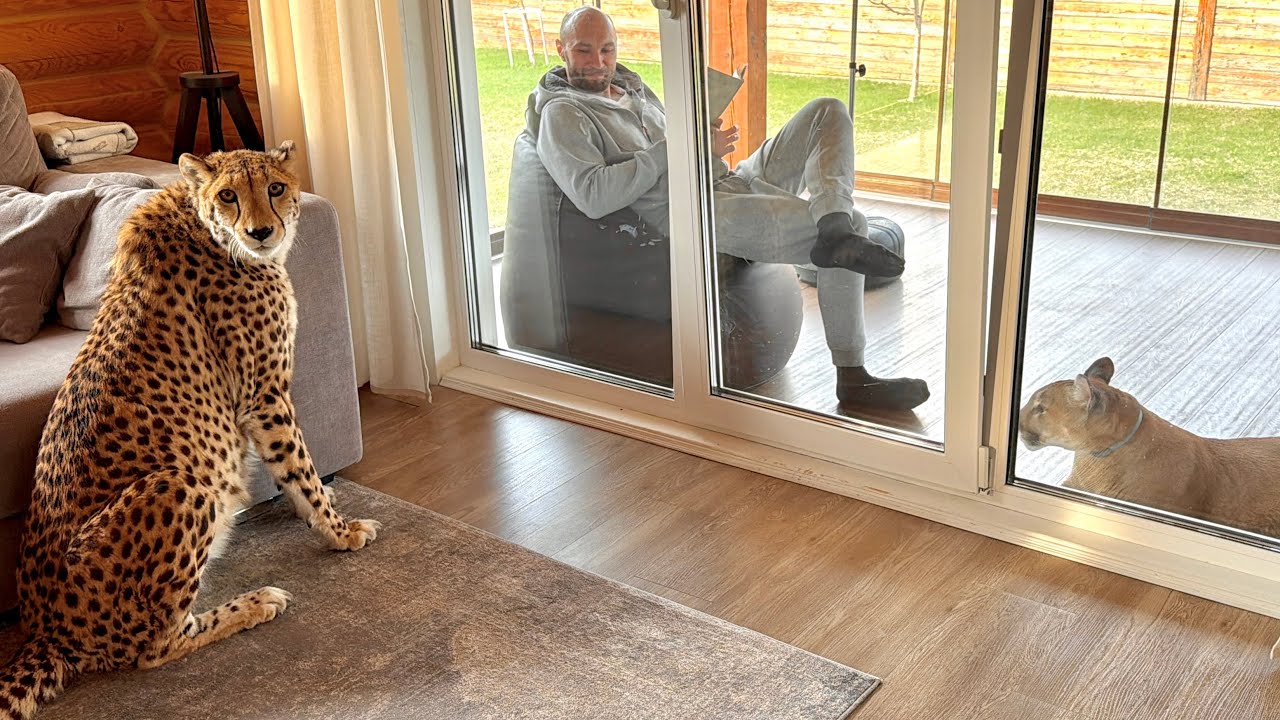 Герда любуется Месси через стекло.