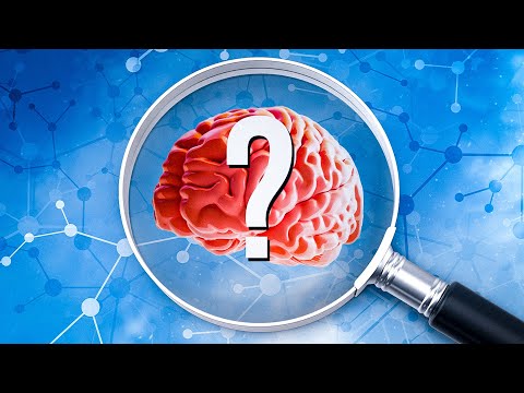 COMO O CÉREBRO PROCESSA A ATENÇÃO?