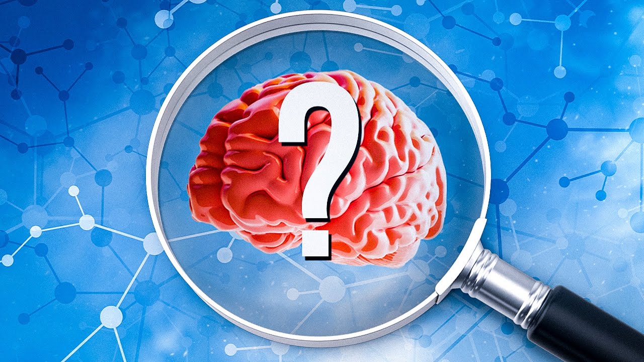 COMO O CÉREBRO PROCESSA A ATENÇÃO?