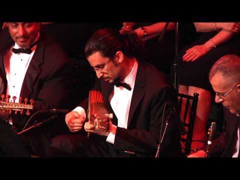 Michigan Arab Orchestra: Buzuq Taqsim - Tareq Abboushi