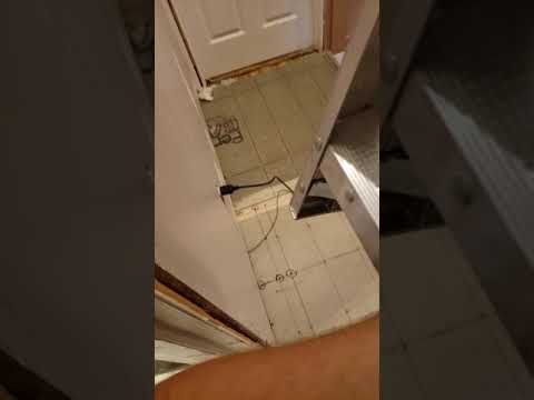 Loiusville Attic Ladder AA2210RF Extra Hinges