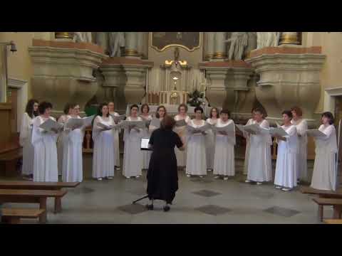 Arvo  Part - Zwei Beter