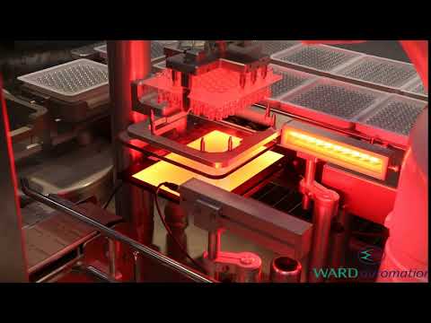 Cognex vision inspection of Pre-filled Syringes