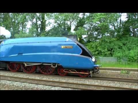 ''THE EBOR STREAK'',Approaching 90 ?. 4464  BITTERN.Sat.29th.June 2013