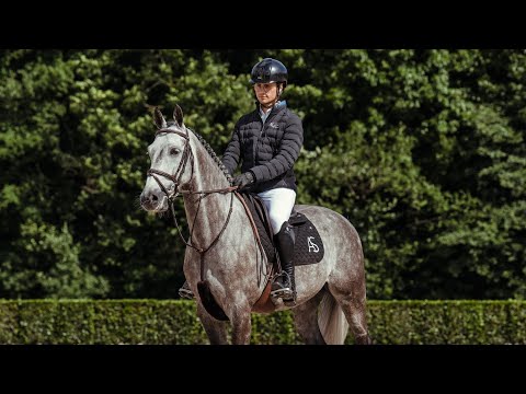 Copain de Minka Z - Profile