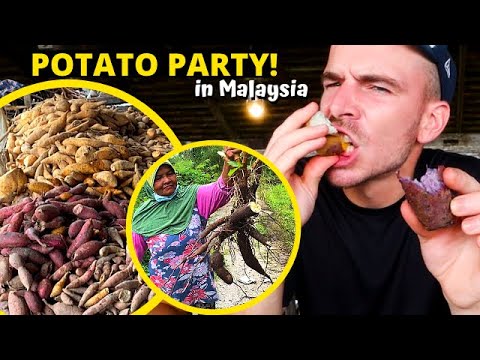 Trying 6 types of Malaysian potatoes + Popular Malaysian kuih made of ubi - MALAYSIA FOOD TOUR VLOG