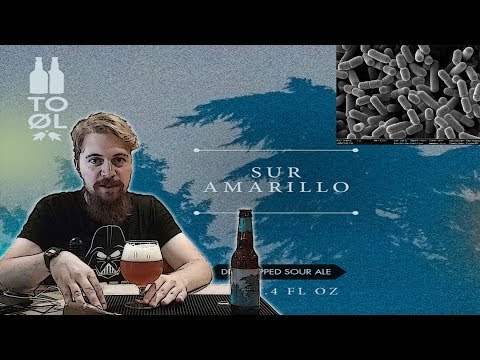 Laudio il libro Alain Karen un modo facile di smettere di bere per scaricare gratuitamente La codificazione efficace da alcolismo