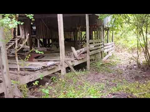 Caminata por el delta encontramos un astillero abandonado. #tigre #delta #bsas #buenosairesnews #new