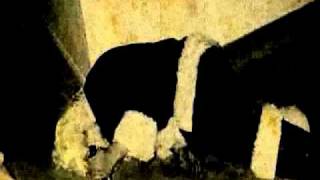 Christmas Sucks - &#39;Tom Waits and Peter Murphy&#39;