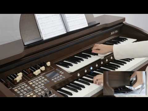 TOKAI MD-750s: Hino 37 - CCB